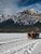 Sleigh Ride at Pyramid Lake