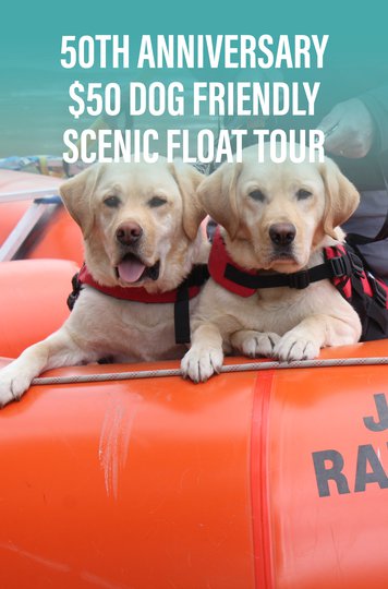 Raft Tour Dog Special (1).jpg