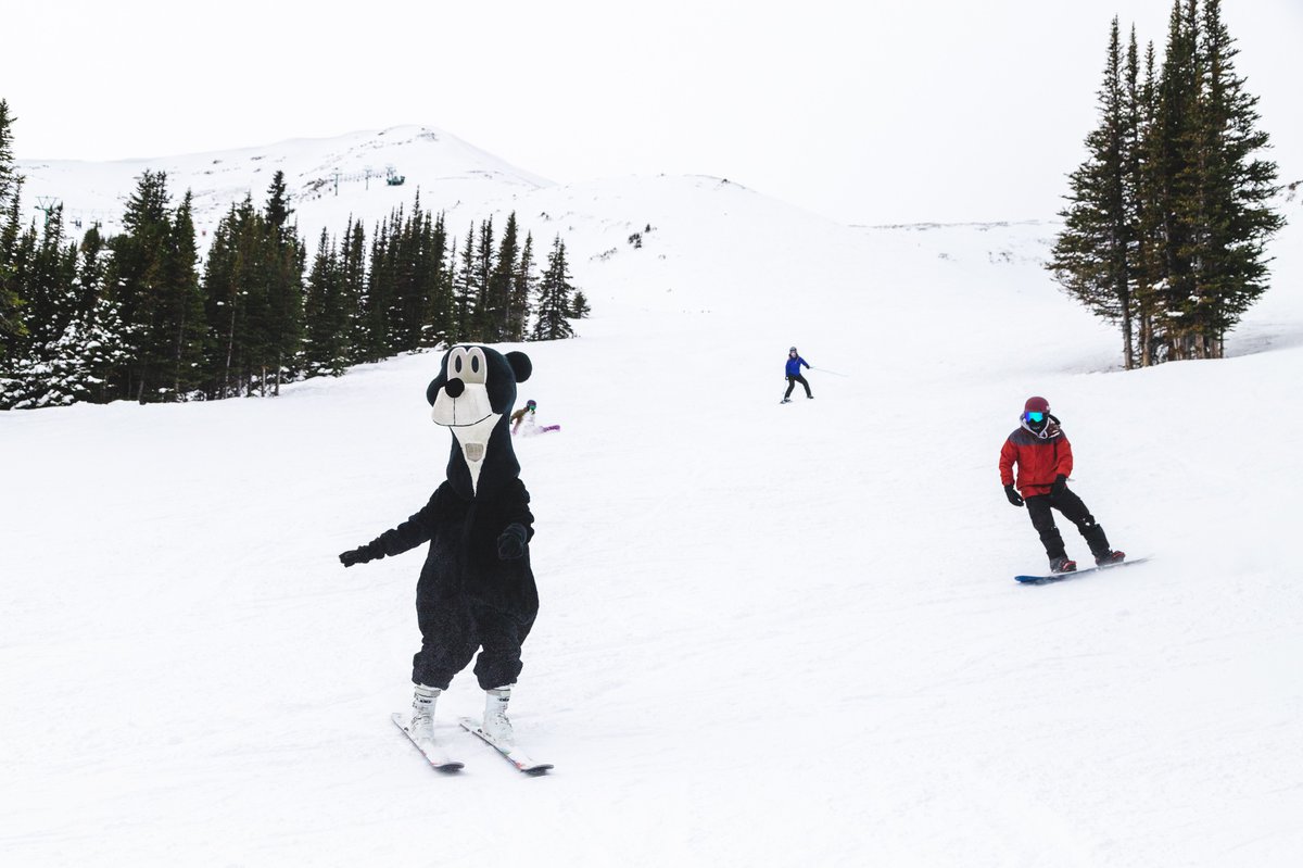 Ski with Jasper the Bear Jasper in January