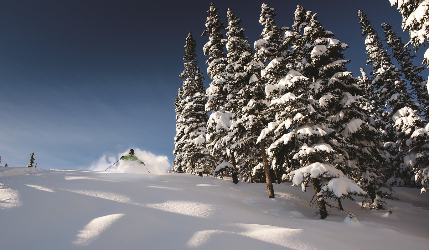 SkiierHittingPowederBrighter-JeffBartlett-CRsma.original.jpg SkiierHittingPowederBrighter-JeffBartlett-CRsma.original.jpg