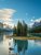 Spirit Island_Jasper Summer.jpg