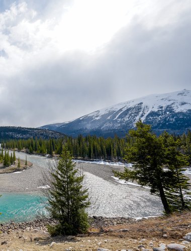 Spring-large.jpg Spring-large.jpg