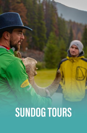 Sundog tours.jpg