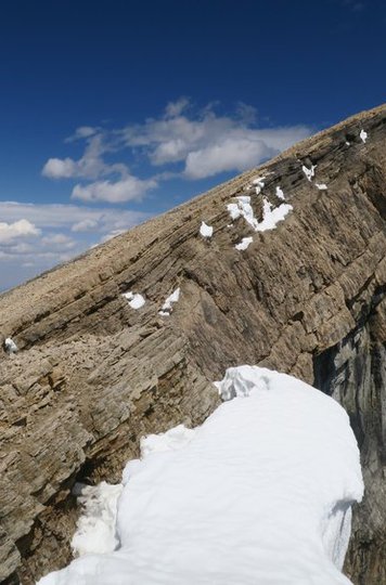 Sunwapta+Peak+1+Jasper+National+Park.jpg