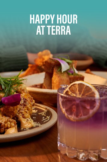 Terra Happy Hour Terra Happy Hour