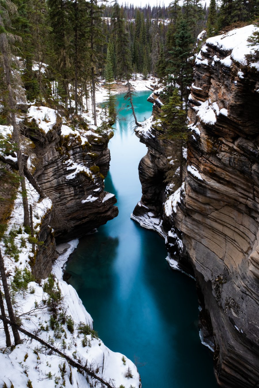 Things to do in Jasper in the Winter-17.jpg