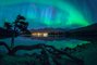 Northern Lights and Log on Shore