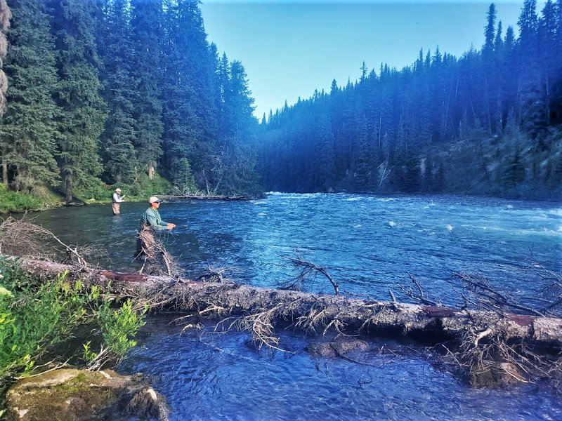 Jasper Park Fishing -Upper Maligne River