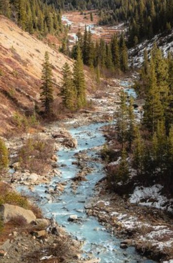 Hidden Valley Hike Jasper