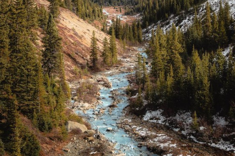 Hidden Valley Hike Jasper