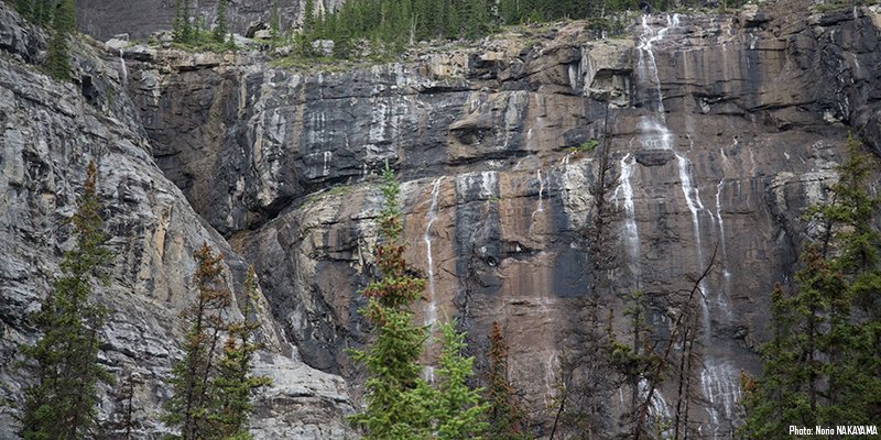 Weeping Wall