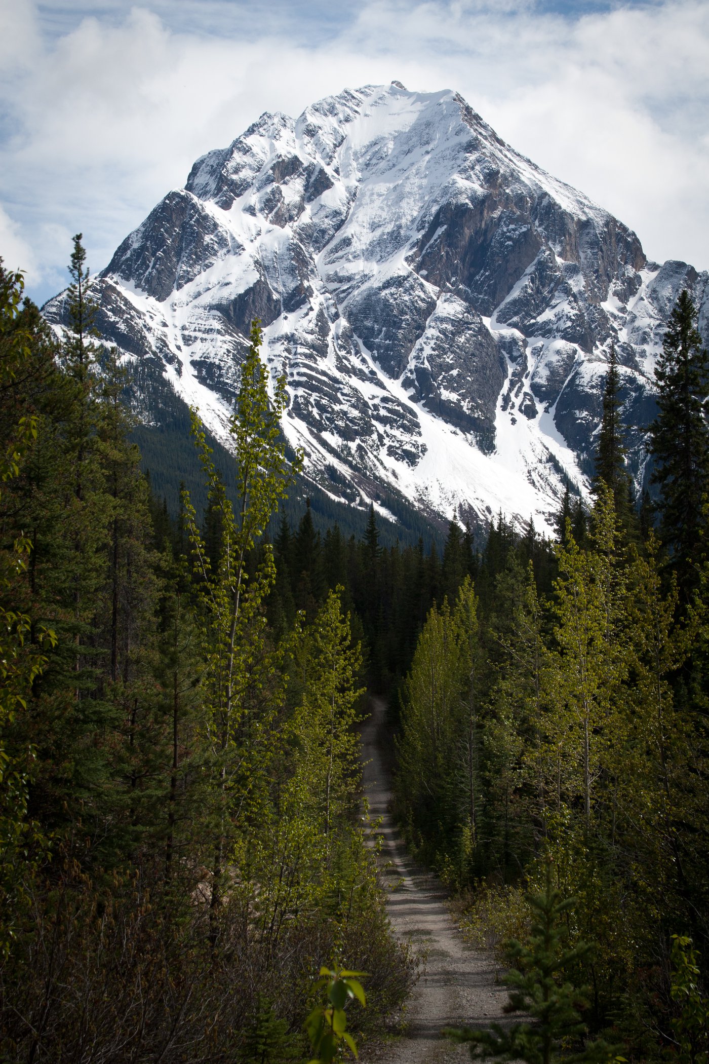 WhirpoolTrailAthabascaPass-RogierGruys-CR.jpg WhirpoolTrailAthabascaPass-RogierGruys-CR.jpg