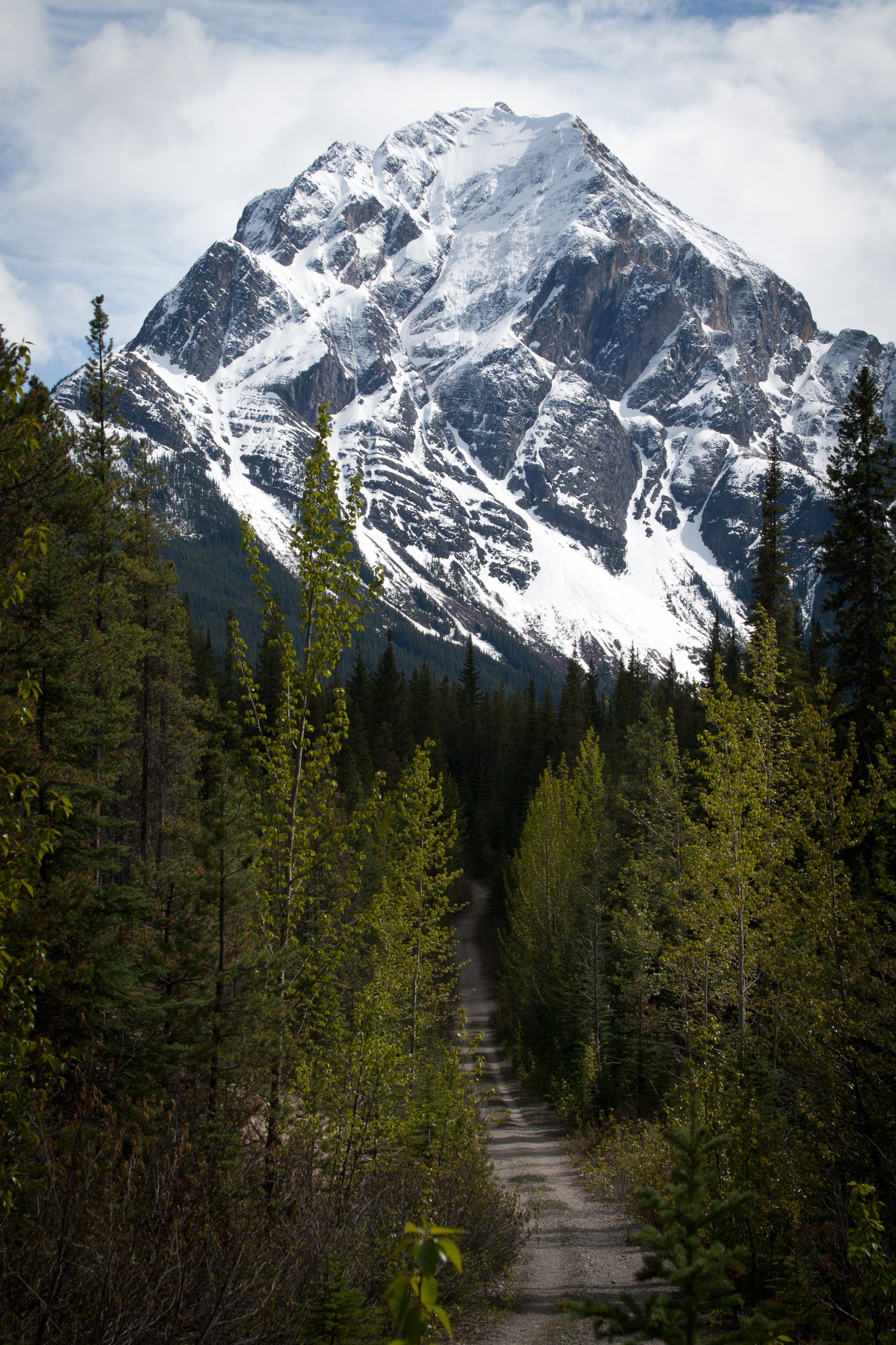 WhirpoolTrailAthabascaPass-RogierGruys-CR.jpg