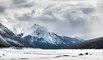Jasper in January Winter Wonderland Photo Tour.