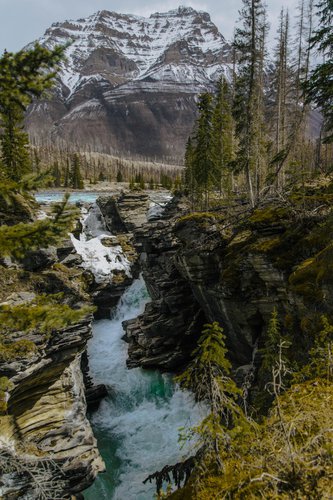 athabasca_falls.jpg