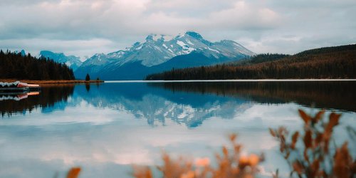 Photo: Anirudh Shangari