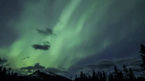 Aurora Gif Aurora Gif