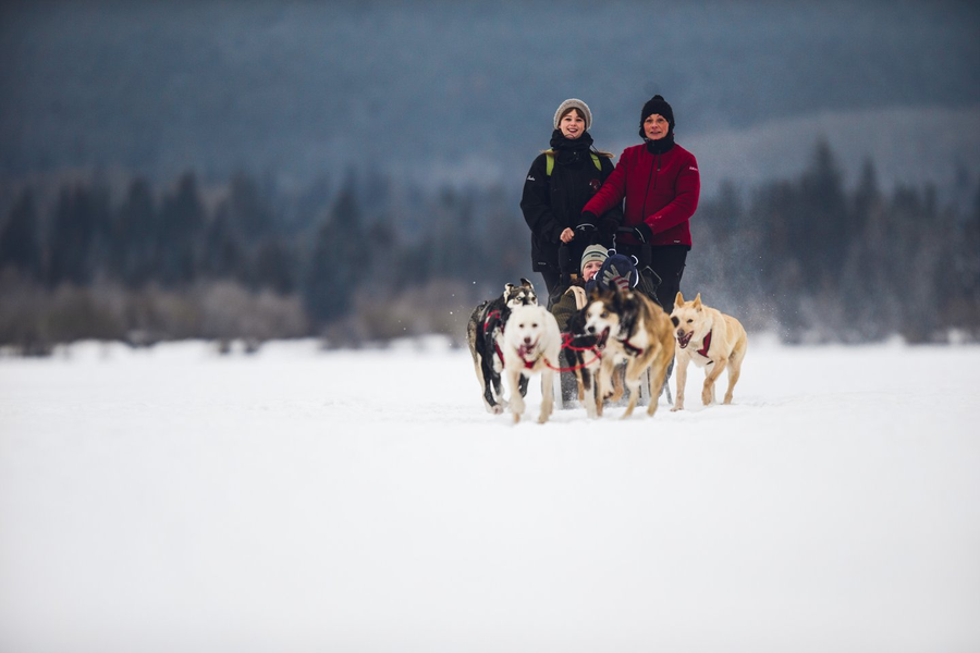 Dog Sledding - credit: Cory Johnn