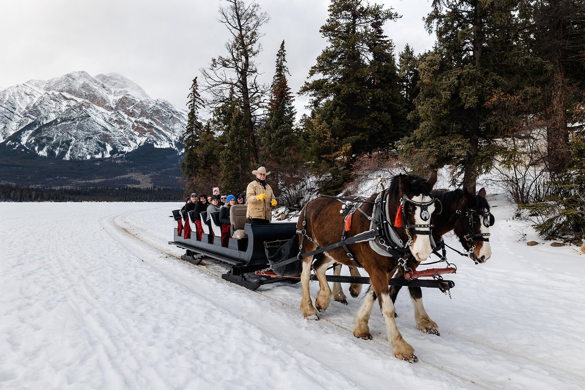 christmasinjaspersleighrides.jpeg christmasinjaspersleighrides.jpeg