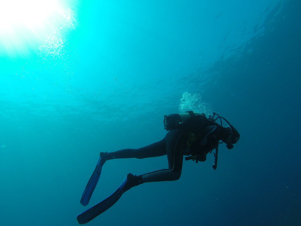 Diving In Jasper