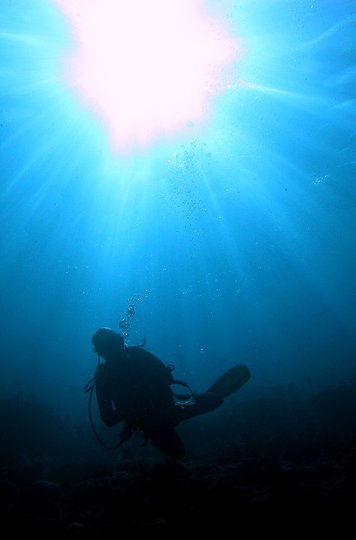 Scuba Diver