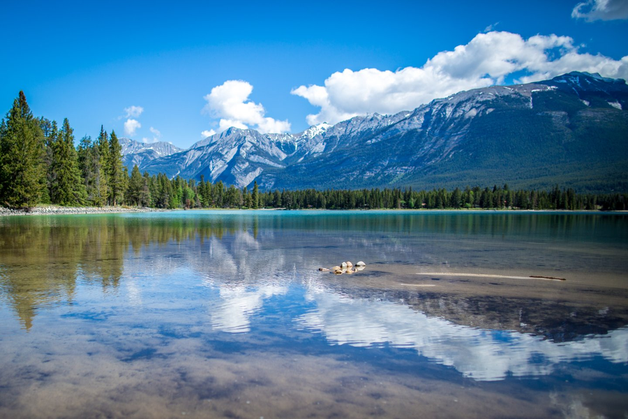 Lake Edith