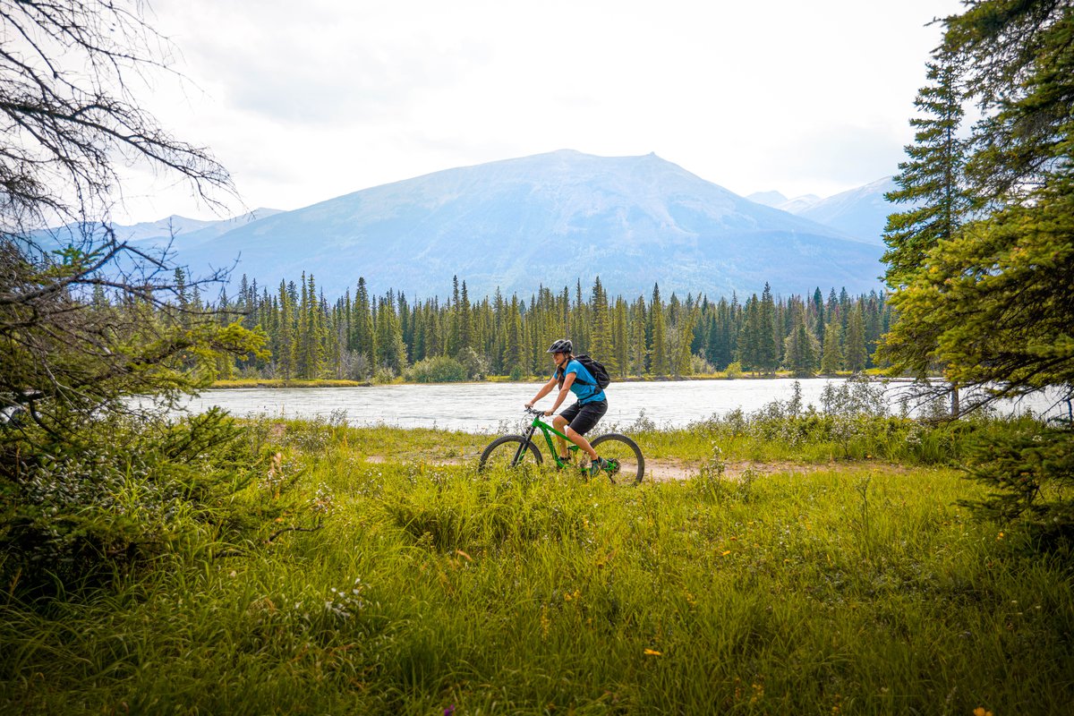 bike for journey