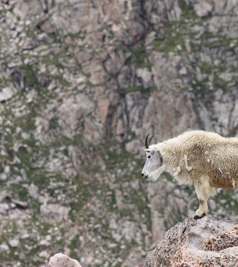 tours from calgary to banff and jasper