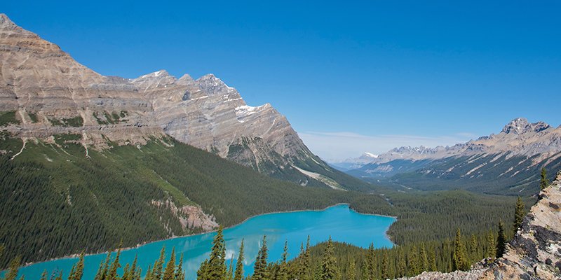 Peyto Lake Bow Summit