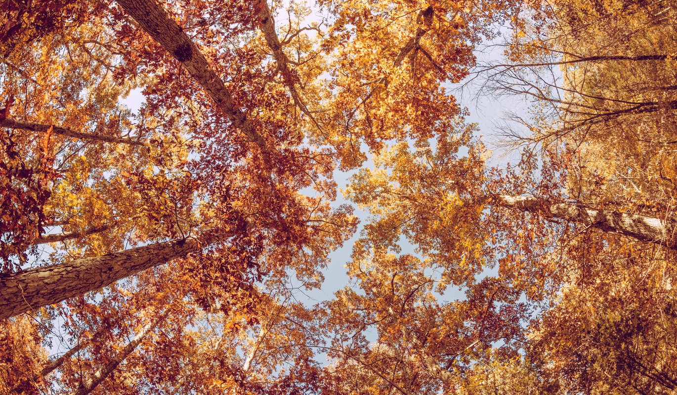 photo-1445570123738-861d5bbb99c9.original.jpg photo-1445570123738-861d5bbb99c9.original.jpg