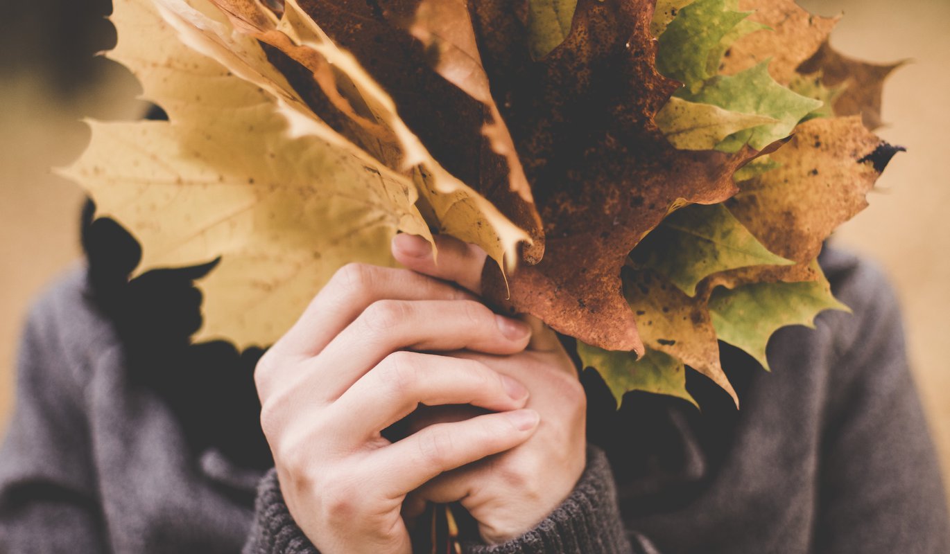 photo-1446236230627-42f8d9b4ac33.original.jpg photo-1446236230627-42f8d9b4ac33.original.jpg