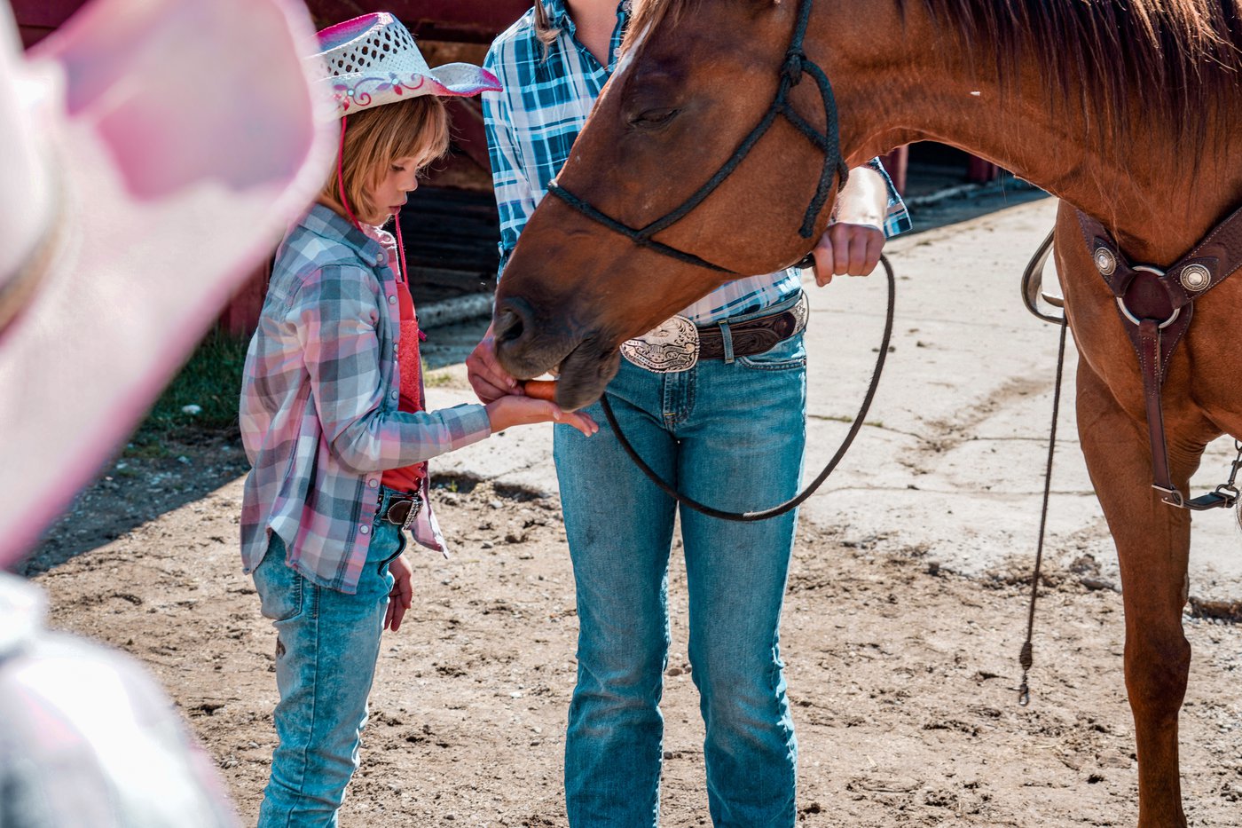 Jasper Riding Stables