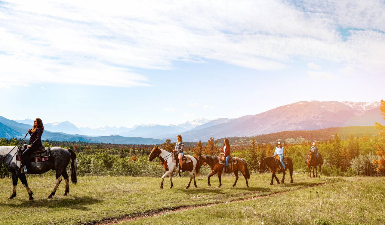 Horseback Riding Tourism Jasper