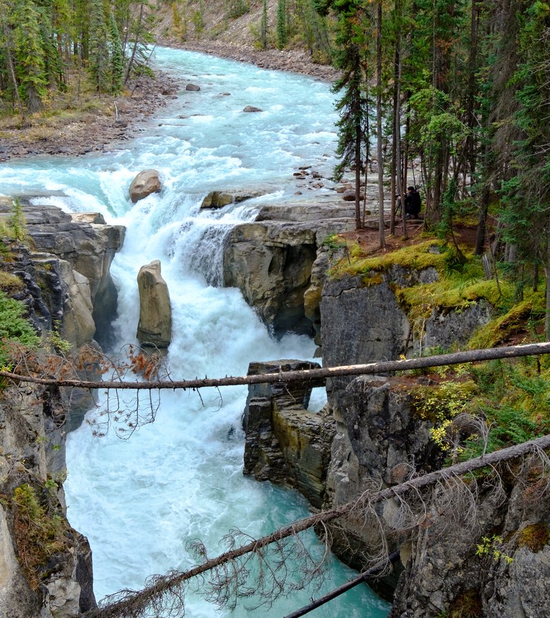 bus tours jasper to calgary