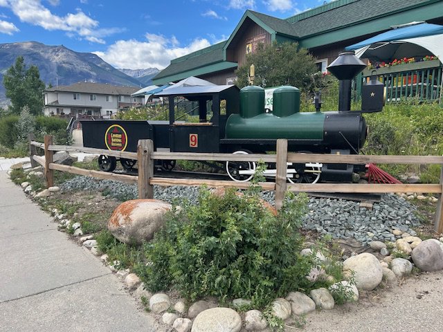 Museum-Train